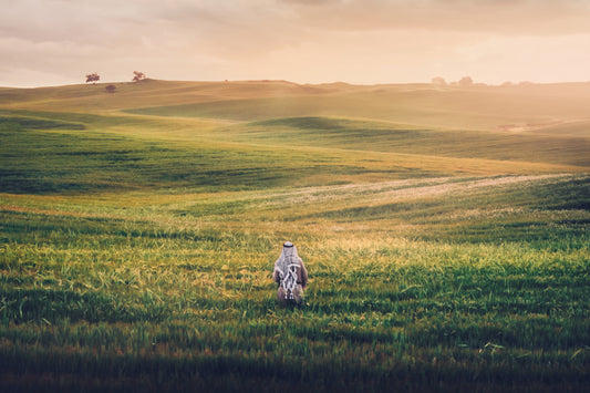 Méjana's Aromatic Reminisce